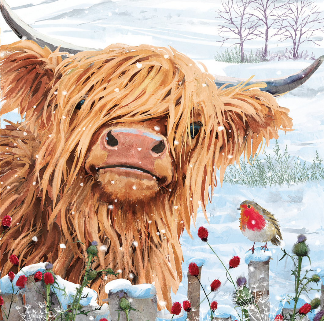 2025 Christmas Coo (Pack of 10)