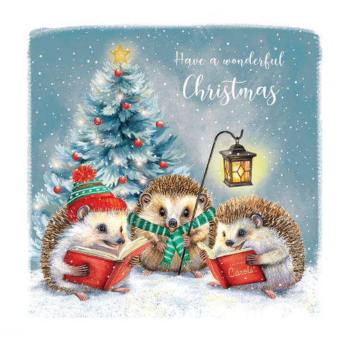 2025 Festive Hedgehogs (Pack of 10)