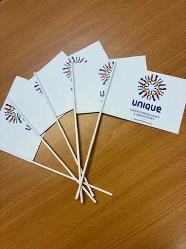 Small Fundraising Flags