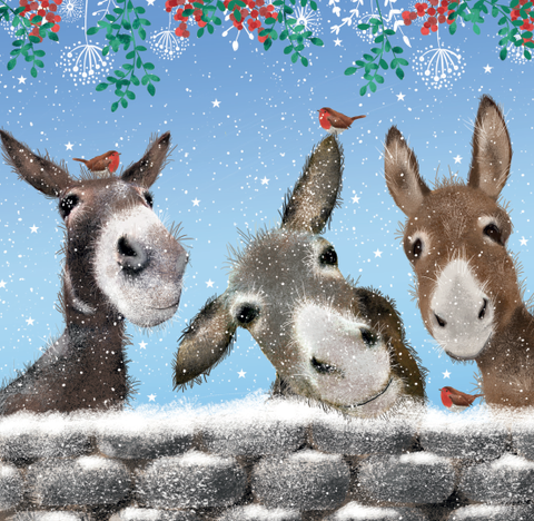 Christmas Cards 2023 (Pack of 10): Three Happy Donkeys
