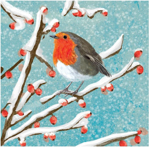 Christmas Cards 2022 (pack of 10): Robin